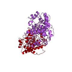 Example Structure of leucine dehydrogenase EC#: 1.4.1.9