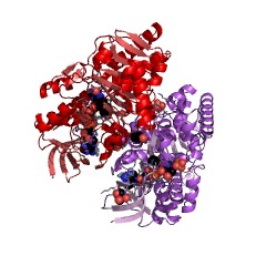 Example Structure of putrescine oxidase EC#: 1.4.3.10