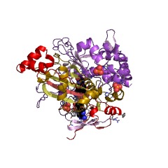 Example Structure of L-glutamate oxidase EC#: 1.4.3.11