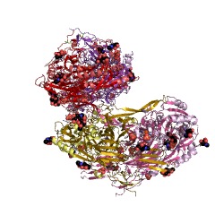 Example Structure of protein-lysine 6-oxidase EC#: 1.4.3.13