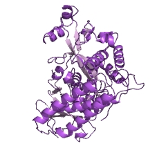 Example Structure of L-aspartate oxidase EC#: 1.4.3.16