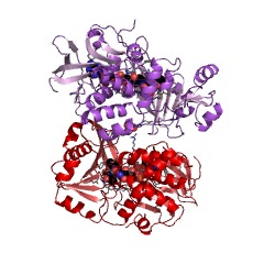 Example Structure of glycine oxidase EC#: 1.4.3.19