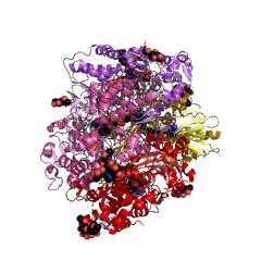 Example Structure of L-amino-acid oxidase EC#: 1.4.3.2