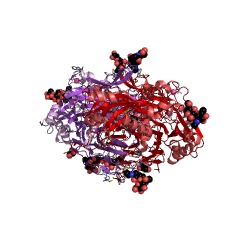 Example Structure of diamine oxidase EC#: 1.4.3.22