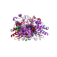 Example Structure of 7-chloro-L-tryptophan oxidase EC#: 1.4.3.23
