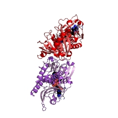 Example Structure of D-amino-acid oxidase EC#: 1.4.3.3