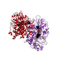 Example Structure of monoamine oxidase EC#: 1.4.3.4