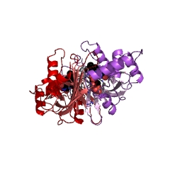 Example Structure of pyridoxal 5'-phosphate synthase EC#: 1.4.3.5