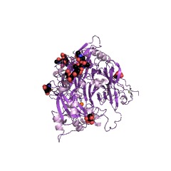 Example Structure of amine oxidase (copper-containing) EC#: 1.4.3.6