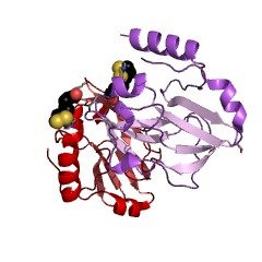 Example Structure of glycine dehydrogenase (aminomethyl-transferring) EC#: 1.4.4.2