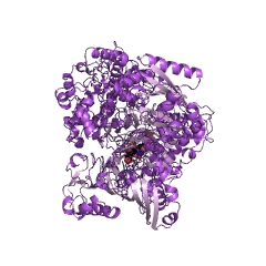 Example Structure of glutamate synthase (ferredoxin) EC#: 1.4.7.1