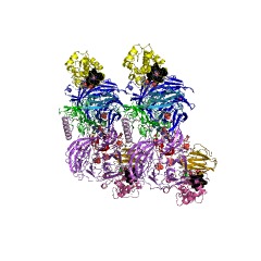 Example Structure of methylamine dehydrogenase (amicyanin) EC#: 1.4.9.1
