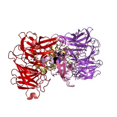 Example Structure of aralkylamine dehydrogenase (azurin) EC#: 1.4.9.2
