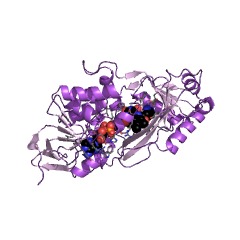 Example Structure of D-arginine dehydrogenase EC#: 1.4.99.6