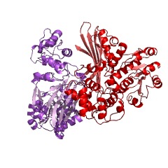 Example Structure of saccharopine dehydrogenase (NADP+, L-glutamate-forming) EC#: 1.5.1.10