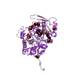 Example Structure of D-octopine dehydrogenase EC#: 1.5.1.11