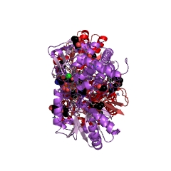 Example Structure of 1-pyrroline-5-carboxylate dehydrogenase EC#: 1.5.1.12