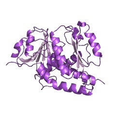 Example Structure of methylenetetrahydrofolate dehydrogenase (NAD+) EC#: 1.5.1.15