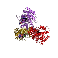 Example Structure of methylenetetrahydrofolate reductase [NAD(P)H] EC#: 1.5.1.20