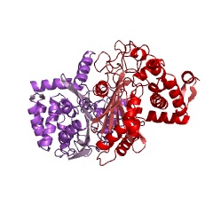 Example Structure of 1-piperideine-2-carboxylate/1-pyrroline-2-carboxylate reductase (NADPH) EC#: 1.5.1.21