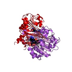 Example Structure of thiomorpholine-carboxylate dehydrogenase EC#: 1.5.1.25