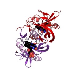 Example Structure of FMN reductase EC#: 1.5.1.29
