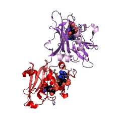 Example Structure of dihydrofolate reductase EC#: 1.5.1.3