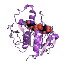 Example Structure of flavin reductase (NADPH) EC#: 1.5.1.30
