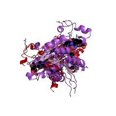 Example Structure of pteridine reductase EC#: 1.5.1.33