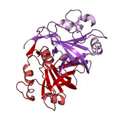 Example Structure of FAD reductase (NADH) EC#: 1.5.1.37