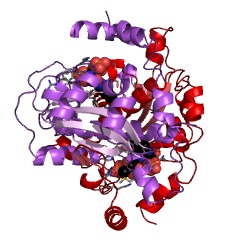 Example Structure of FMN reductase (NADPH) EC#: 1.5.1.38