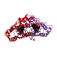 Example Structure of FMN reductase [NAD(P)H] EC#: 1.5.1.39