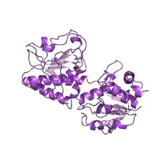 Example Structure of saccharopine dehydrogenase (NAD+, L-lysine-forming) EC#: 1.5.1.7