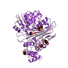 Example Structure of saccharopine dehydrogenase (NAD+, L-glutamate-forming) EC#: 1.5.1.9