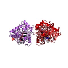 Example Structure of sarcosine oxidase EC#: 1.5.3.1