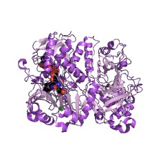 Example Structure of dimethylglycine oxidase EC#: 1.5.3.10