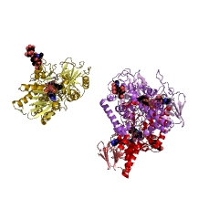 Example Structure of polyamine oxidase (propane-1,3-diamine-forming) EC#: 1.5.3.14