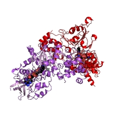 Example Structure of non-specific polyamine oxidase EC#: 1.5.3.17