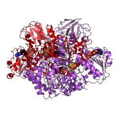 Example Structure of trimethylamine dehydrogenase EC#: 1.5.8.2