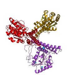 Example Structure of methylenetetrahydromethanopterin dehydrogenase EC#: 1.5.98.1