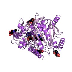 Example Structure of cytokinin dehydrogenase EC#: 1.5.99.12