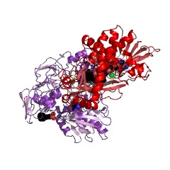 Example Structure of proline dehydrogenase EC#: 1.5.99.8
