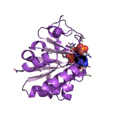 Example Structure of NAD(P)+ transhydrogenase (Re/Si-specific) EC#: 1.6.1.2