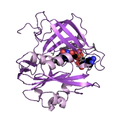 Example Structure of cytochrome-b5 reductase EC#: 1.6.2.2