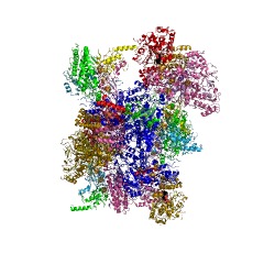 Example Structure of NADH dehydrogenase (quinone) EC#: 1.6.5.11