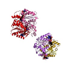 Example Structure of NAD(P)H dehydrogenase (quinone) EC#: 1.6.5.2