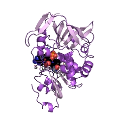 Example Structure of NADPH:quinone reductase EC#: 1.6.5.5
