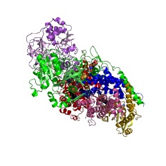 Example Structure of NADH:ubiquinone reductase (Na+-transporting) EC#: 1.6.5.8