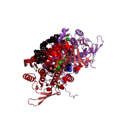 Example Structure of NADH:ubiquinone reductase (non-electrogenic) EC#: 1.6.5.9