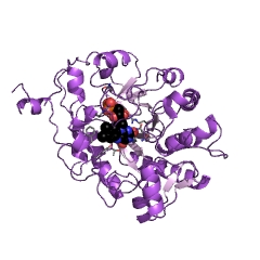 Example Structure of NADPH dehydrogenase EC#: 1.6.99.1